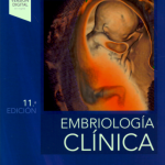 Moore: Embriología Clínica 11 Ed.  9788491135906