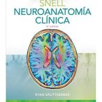 Neuroanatomía clínica.