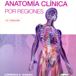 Snell. Anatomía clínica por regiones. 10  Ed. 2019 de Wineski 9788417602277