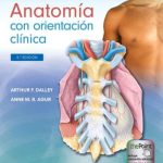 Moore. Anatomía con orientación clínica 9788418892745