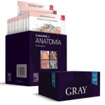 Gray. Flashcards de Anatomía 9788413820187