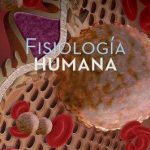FISIOLOGIA HUMANA 9786071515377