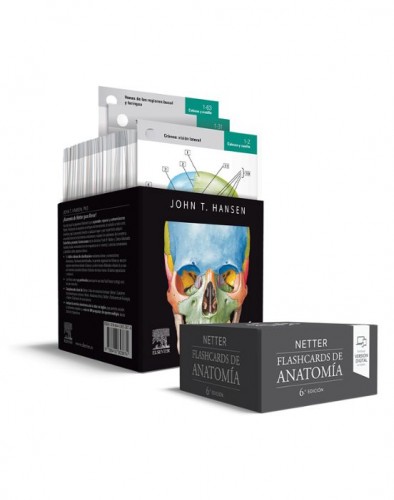 NETTER. FLASHCARDS DE ANATOMÍA 6ª ED 9788413823874