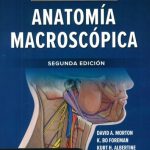 Morton: Anatomía Macroscópica