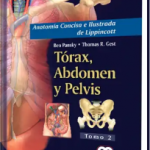 Anatomía Concisa e Ilustrada de Lippincott. Tórax, Abdomen y Pelvis. Tomo II