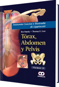 Anatomía Concisa e Ilustrada de Lippincott. Tórax, Abdomen y Pelvis. Tomo II