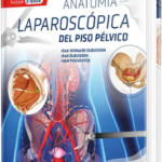 Anatomía laparoscópica del piso pélvico