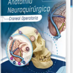 Anatomía neuroquirúrgica craneal operatoria