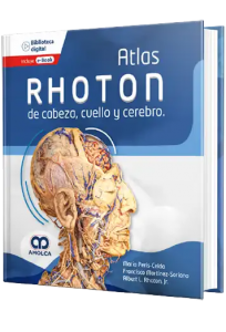 Atlas Rhoton de Cabeza, Cuello y Cerebro