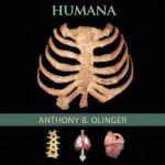 Atlas de Anatomía Humana 9788416353774