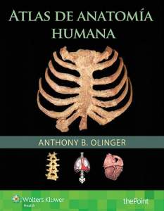 Atlas de Anatomía Humana 9788416353774