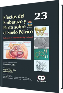 Efectos del Embarazo y Parto sobre el Suelo Pélvico No. 23.